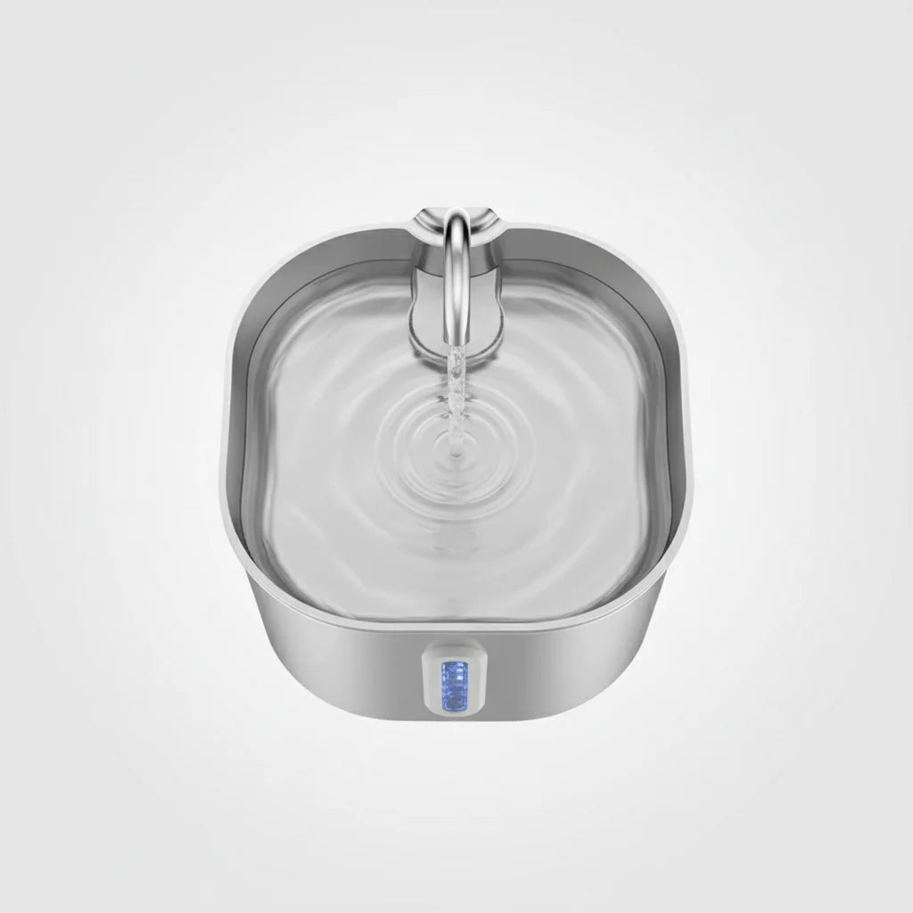 Fontaine à Eau ZYFeeder - Hydratation sans stress - Mon Compagnon Douillet