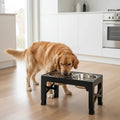 Support Élevé pour Chiens - Confort Optimal à Chaque Repas - Mon Compagnon Douillet