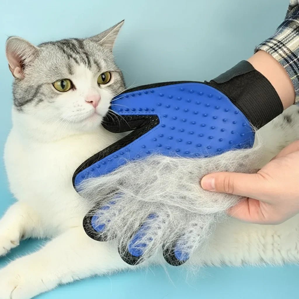 Gants de Toilettage en Silicone - Douceur et Confort pour Votre Animal - Mon Compagnon Douillet
