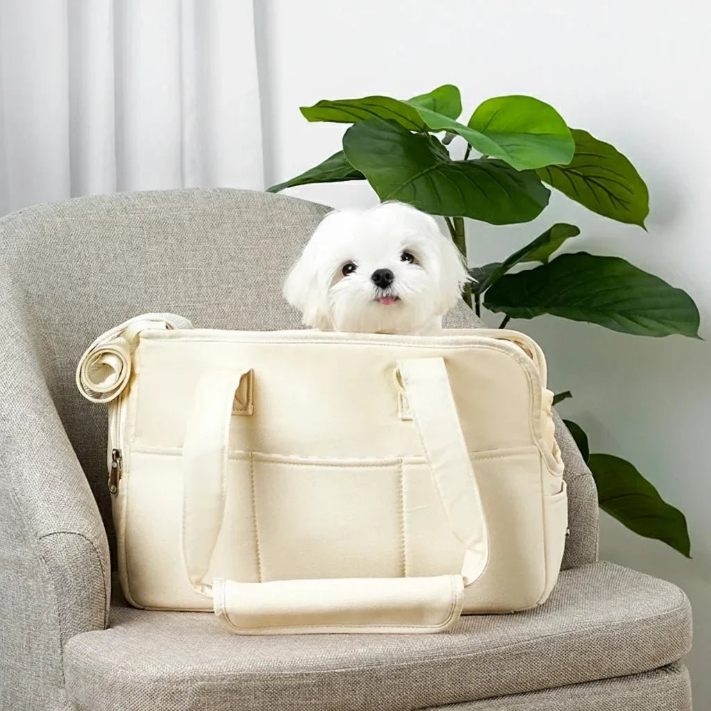 Sac à Dos pour Animaux - Confort et Sécurité! - Mon Compagnon Douillet