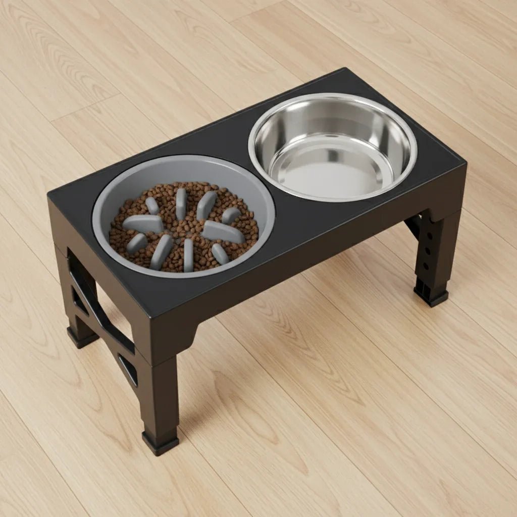 Support Élevé pour Chiens - Confort Optimal à Chaque Repas - Mon Compagnon Douillet