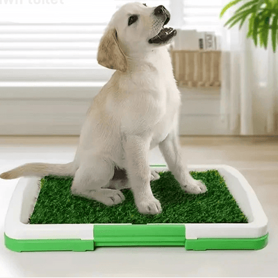 Tapis de propreté éducatif pour chiots