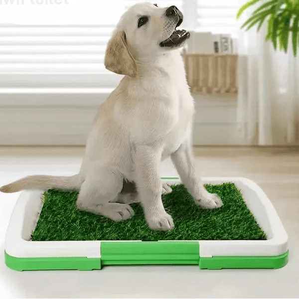 Tapis de propreté éducatif pour chiots