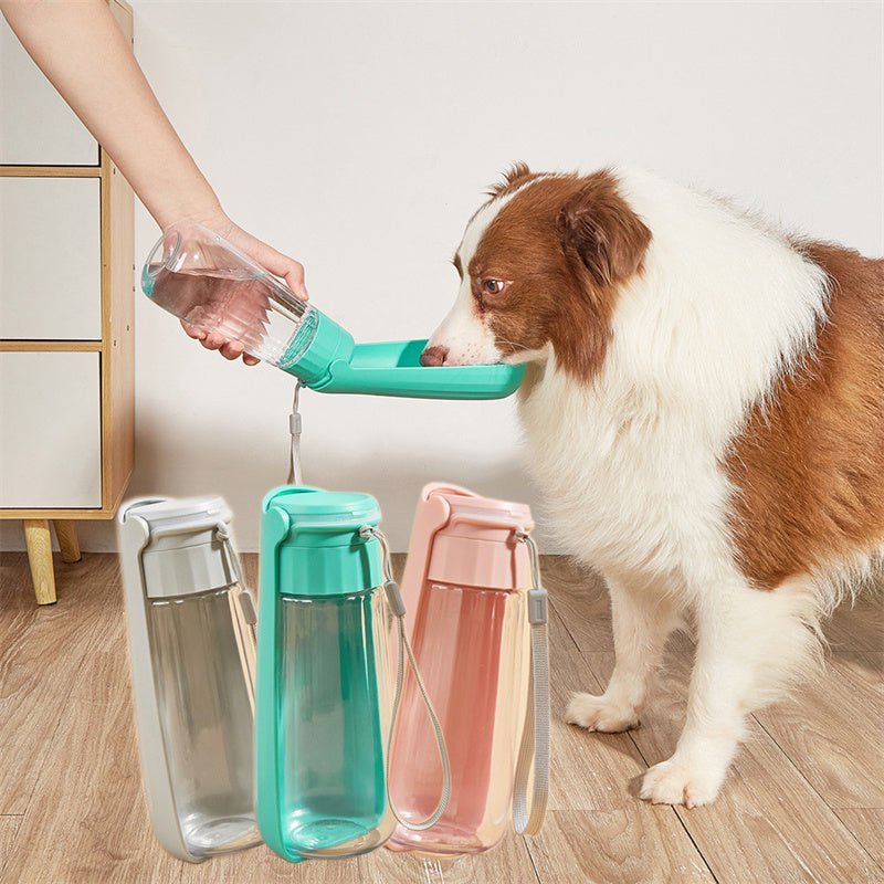 Bouteille d'Eau Portable - Hydratation Facile! - Mon Compagnon Douillet
